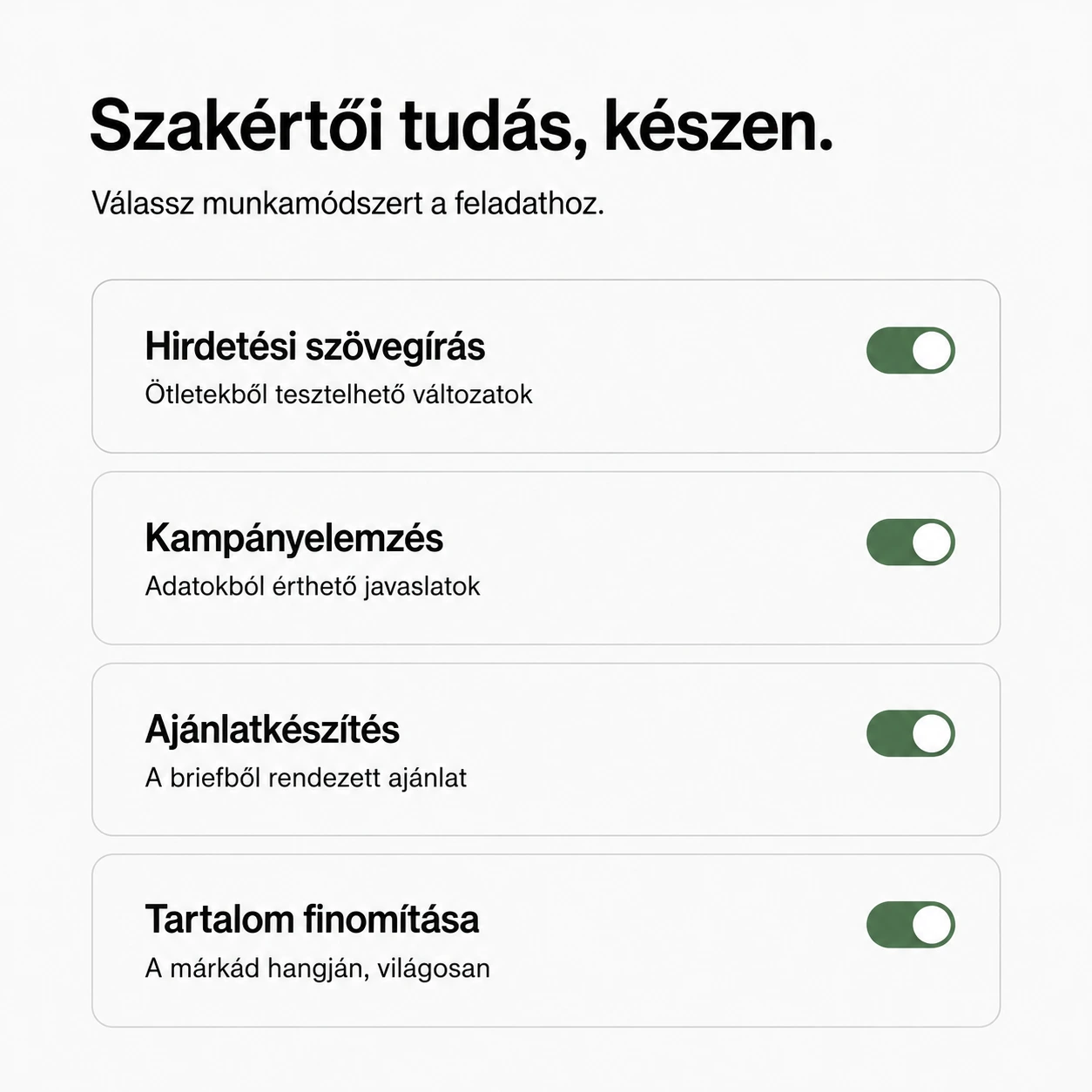 Hirdetési szövegírás, kampányelemzés, ajánlatkészítés és tartalom finomítása.